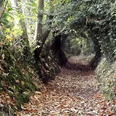 Gites Et Tonneaux De La Liniere Feriehus *